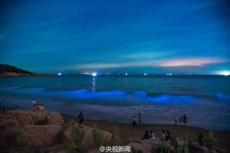 虫虫助手下载